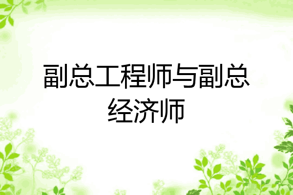副总工程师与副总经济师