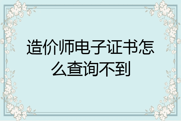 造价师电子证书怎么查询不到