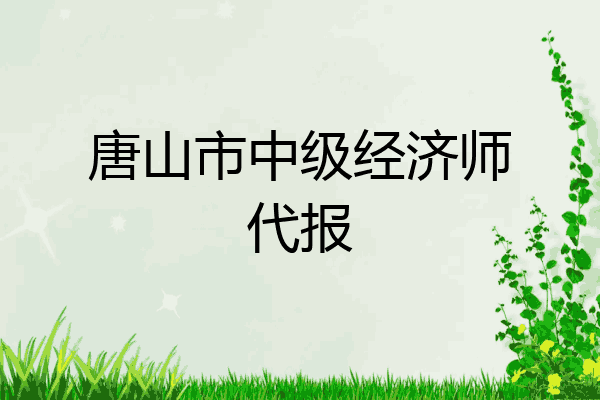唐山市中级经济师代报