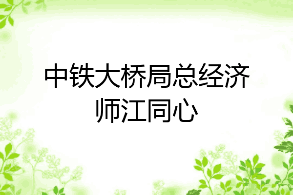 中铁大桥局总经济师江同心