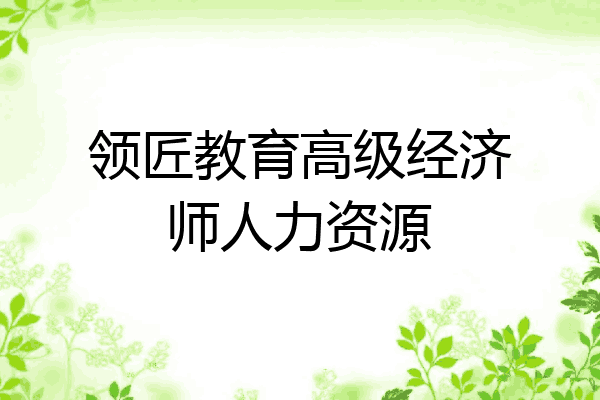 领匠教育高级经济师人力资源
