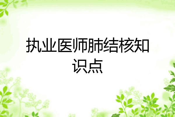 执业医师肺结核知识点