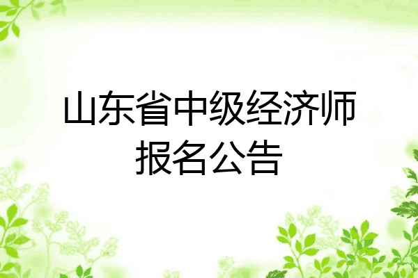 山东省中级经济师报名公告