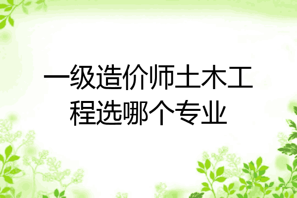 一级造价师土木工程选哪个专业