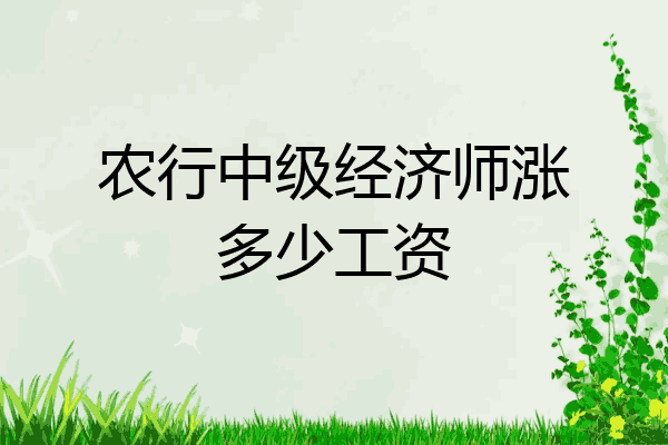 农行中级经济师涨多少工资