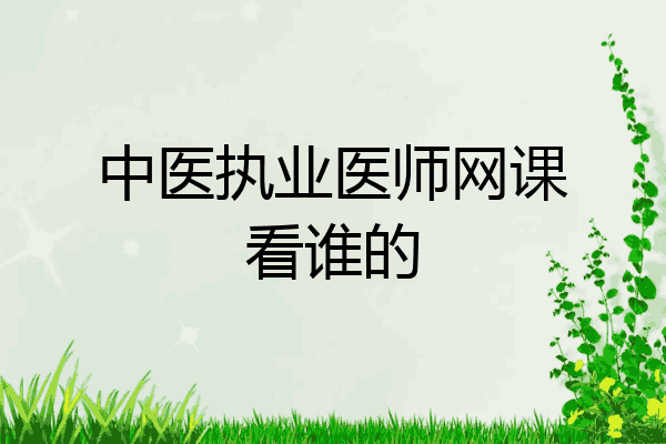 中医执业医师网课看谁的
