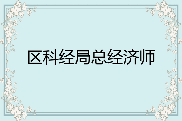 区科经局总经济师