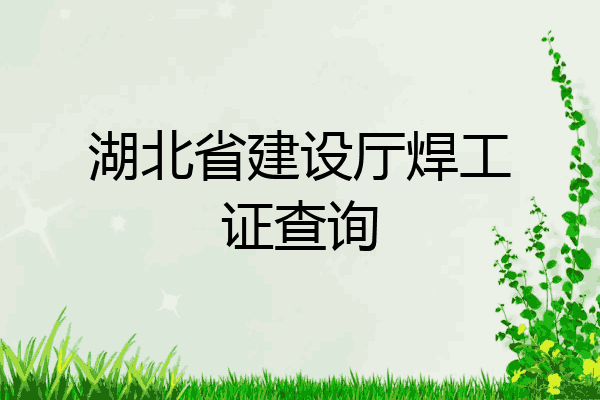 湖北省建设厅焊工证查询