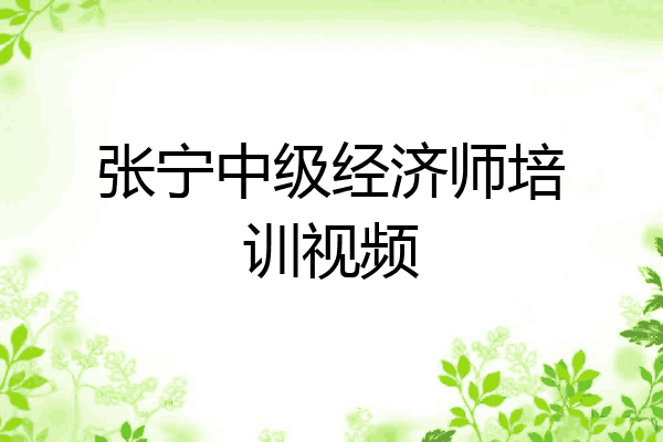 张宁中级经济师培训视频
