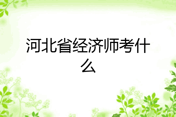 河北省经济师考什么
