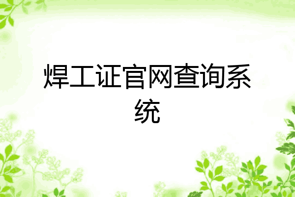 焊工证官网查询系统