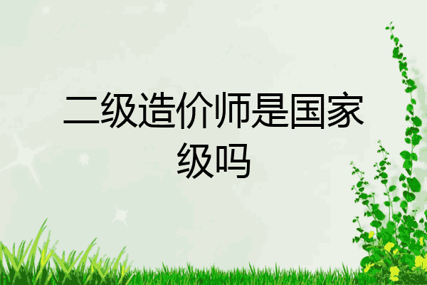 二级造价师是国家级吗
