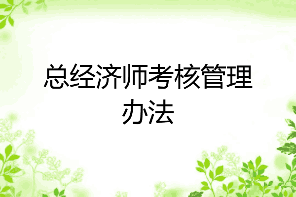 总经济师考核管理办法