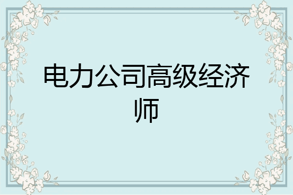 电力公司高级经济师