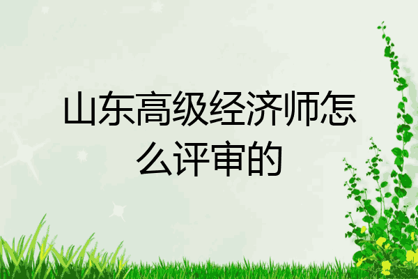山东高级经济师怎么评审的