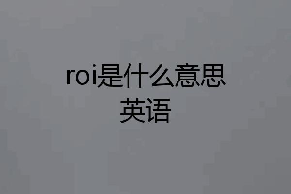 roi是什么意思英语