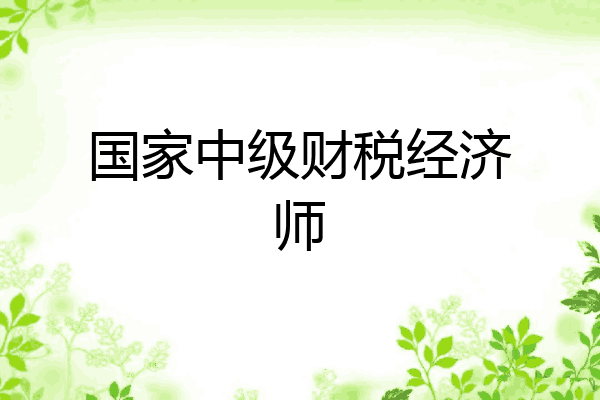 国家中级财税经济师