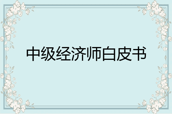 中级经济师白皮书
