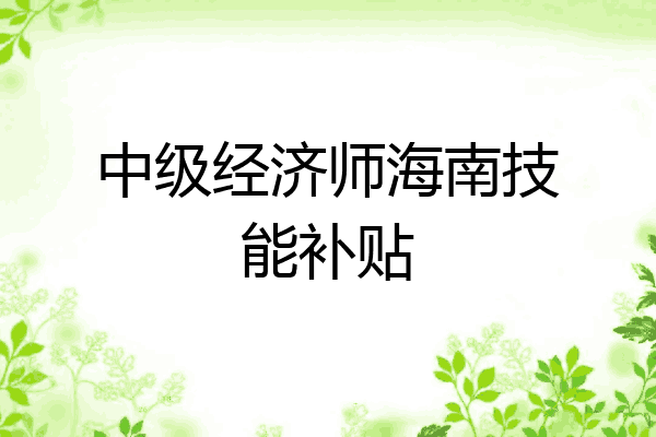 中级经济师海南技能补贴