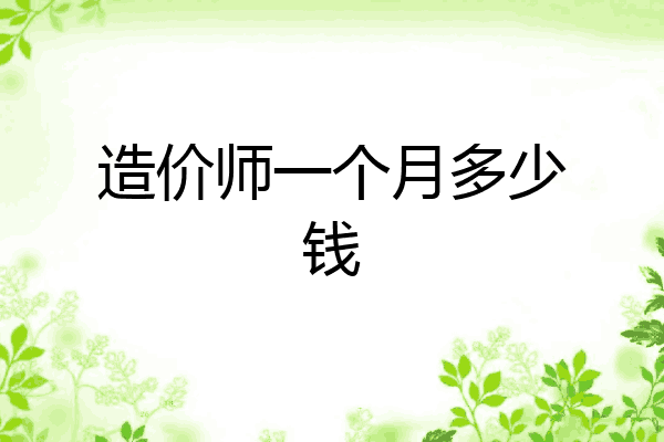 造价师一个月多少钱