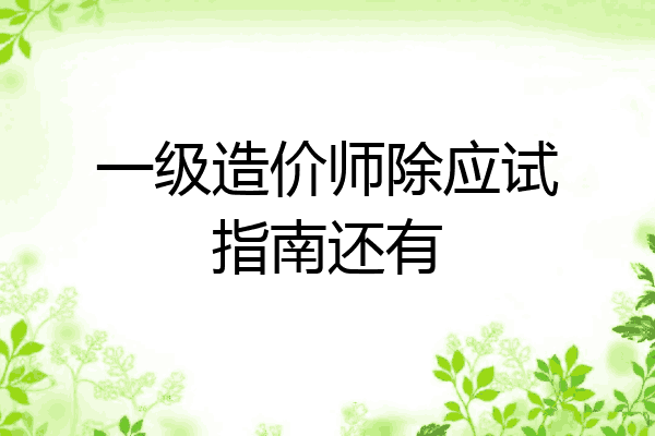 一级造价师除应试指南还有