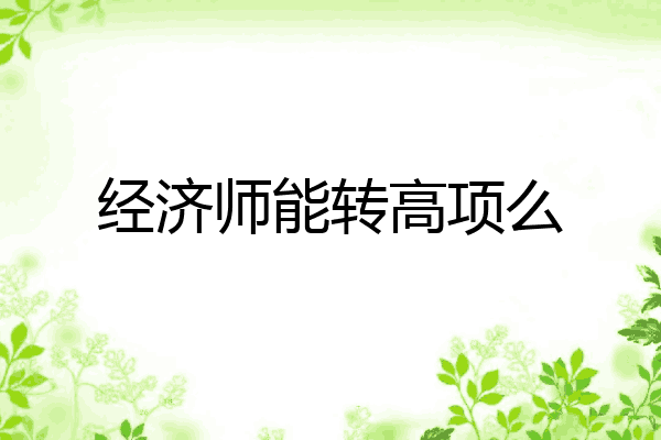 经济师能转高项么
