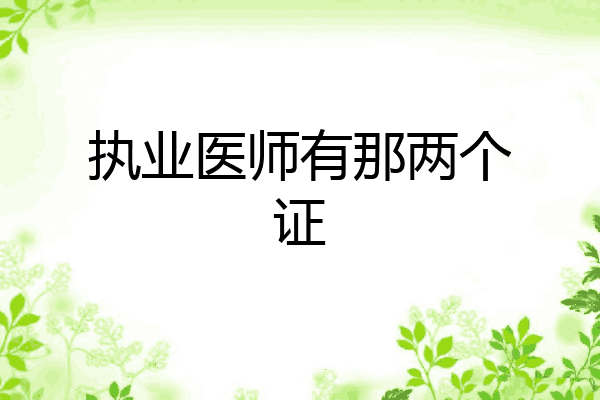执业医师有那两个证
