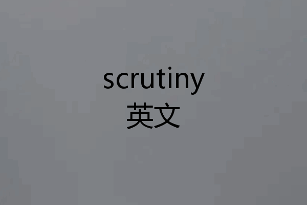 scrutiny英文