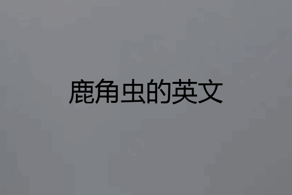 鹿角虫的英文