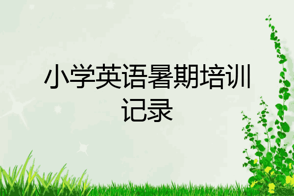 小学英语暑期培训记录