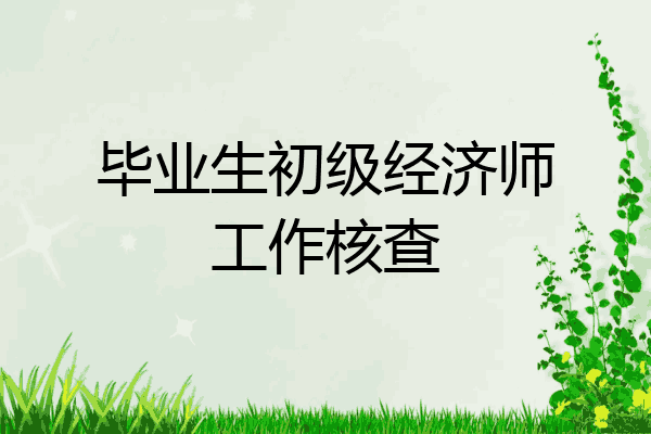 毕业生初级经济师工作核查