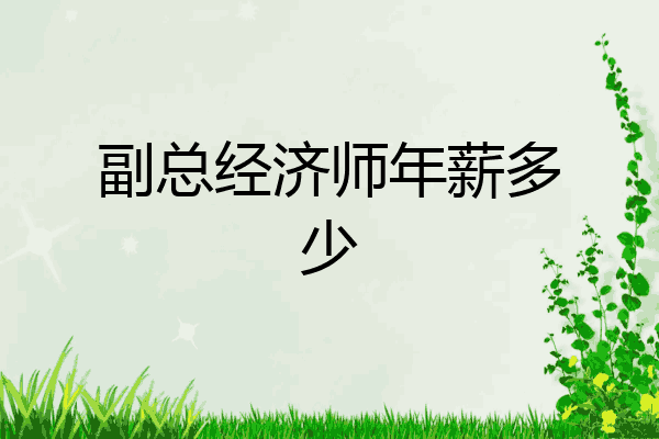 副总经济师年薪多少