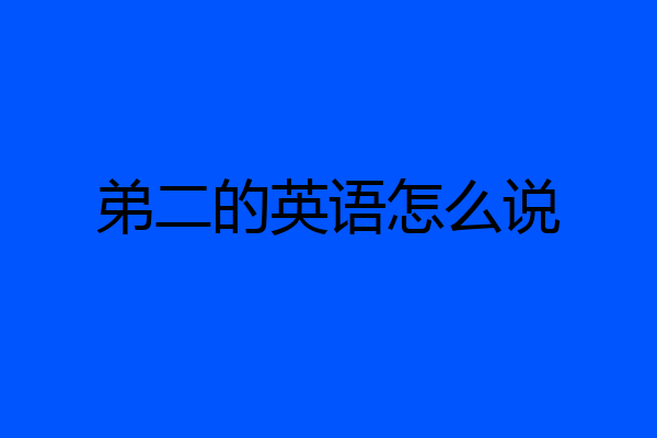 弟二的英语怎么说