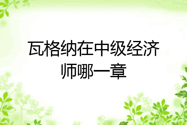 瓦格纳在中级经济师哪一章