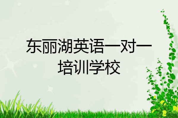 东丽湖英语一对一培训学校