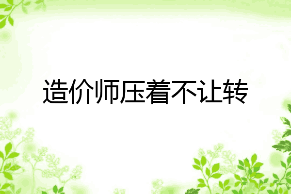 造价师压着不让转