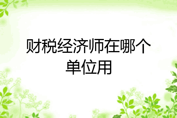 财税经济师在哪个单位用
