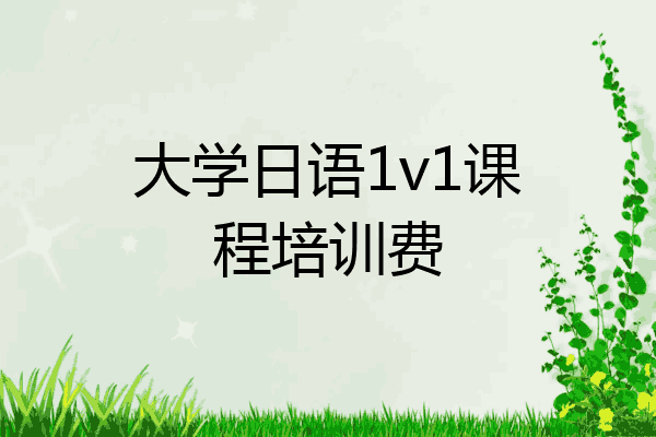 大学日语1v1课程培训费