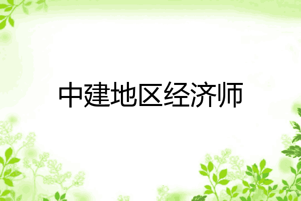 中建地区经济师