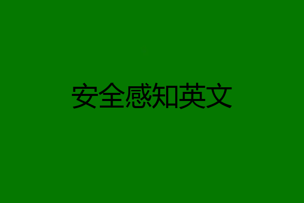 安全感知英文