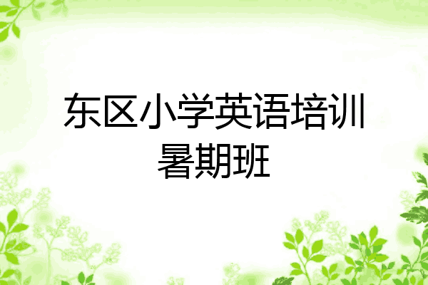 东区小学英语培训暑期班
