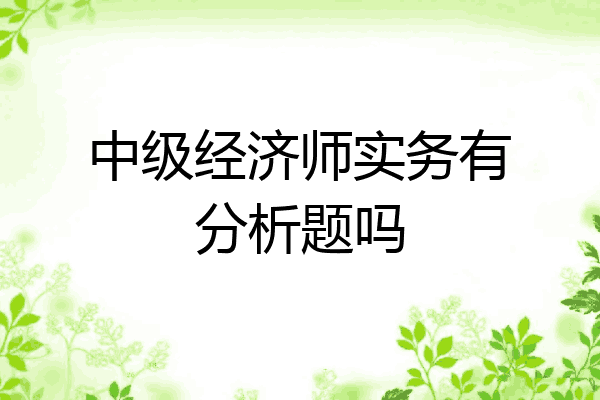 中级经济师实务有分析题吗