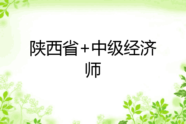 陕西省+中级经济师