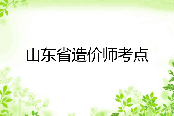 山东省造价师考点