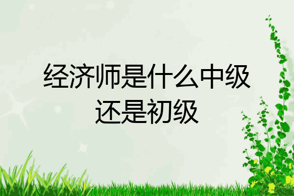 经济师是什么中级还是初级