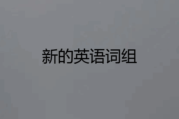 新的英语词组