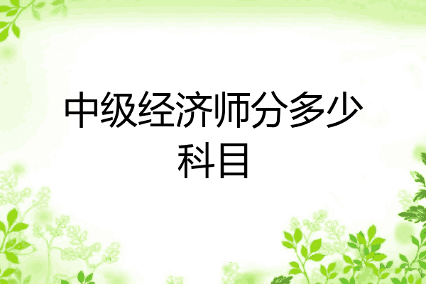 中级经济师分多少科目