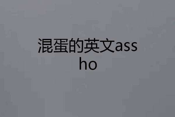 混蛋的英文assho