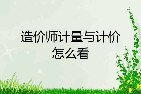 造价师计量与计价怎么看