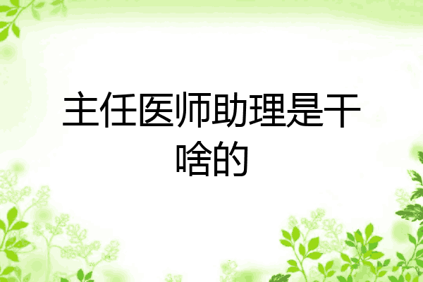 主任医师助理是干啥的